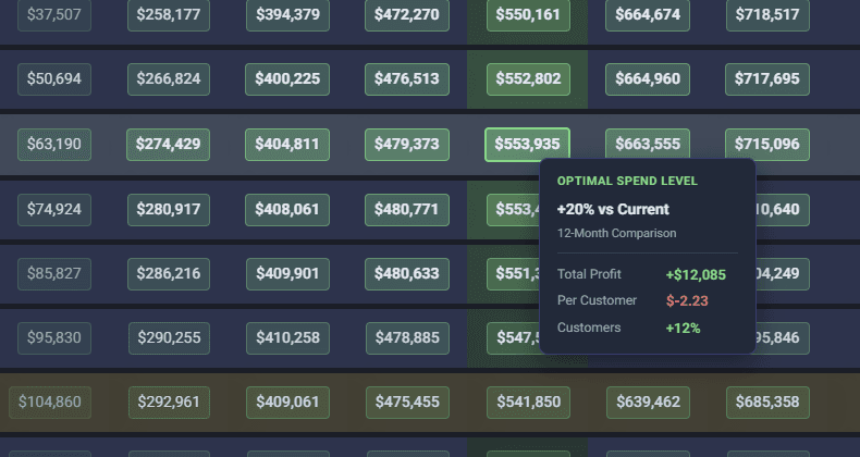 Ad spend growth case study showing CAC stability alongside customer acquisition growth